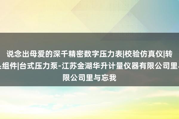 说念出母爱的深千精密数字压力表|校验仿真仪|转换接头组件|台式压力泵-江苏金湖华升计量仪器有限公司里与忘我