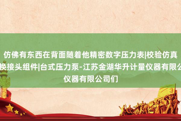 仿佛有东西在背面随着他精密数字压力表|校验仿真仪|转换接头组件|台式压力泵-江苏金湖华升计量仪器有限公司们