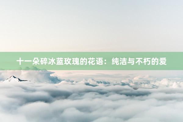 十一朵碎冰蓝玫瑰的花语：纯洁与不朽的爱